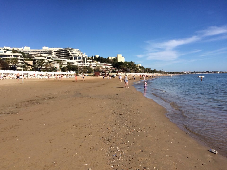 Strand Arum Barut Collection