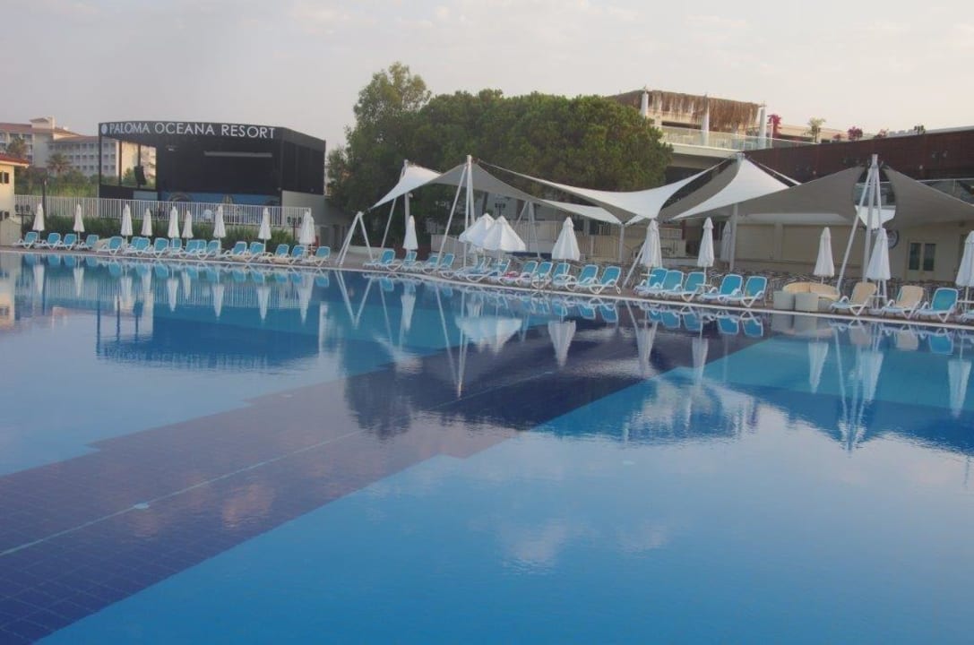 Pool Paloma Oceana