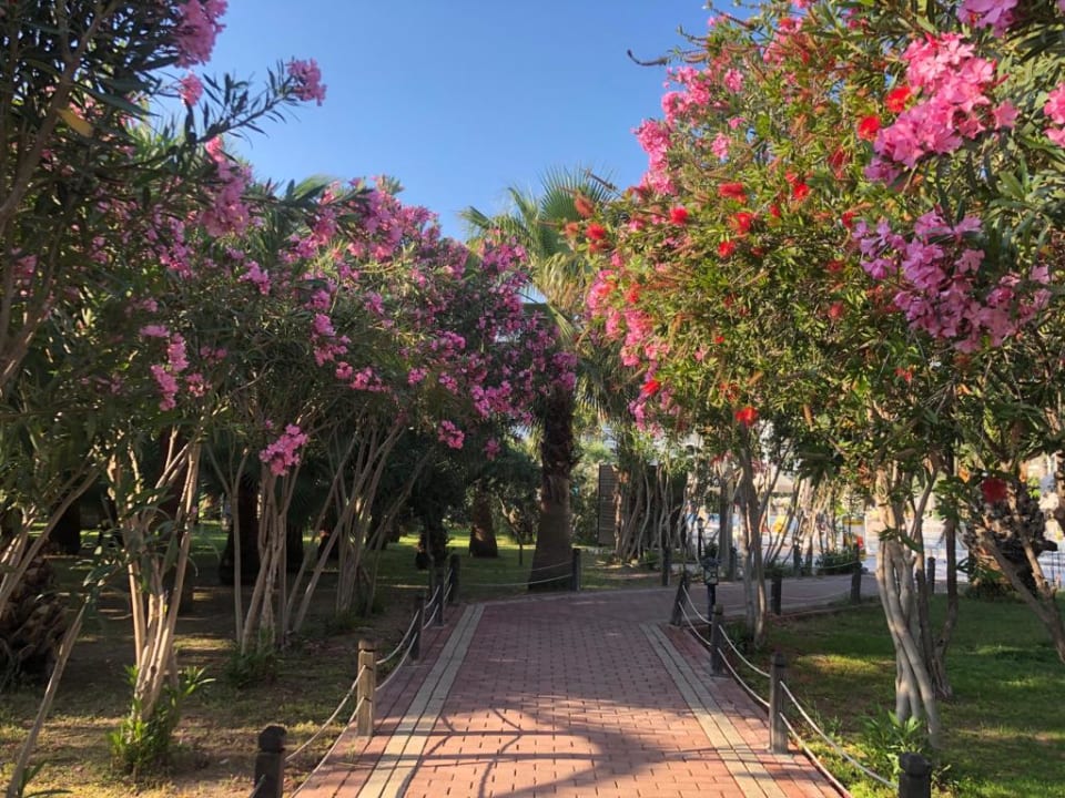 Gartenanlage Seaden Sea World Resort & Spa