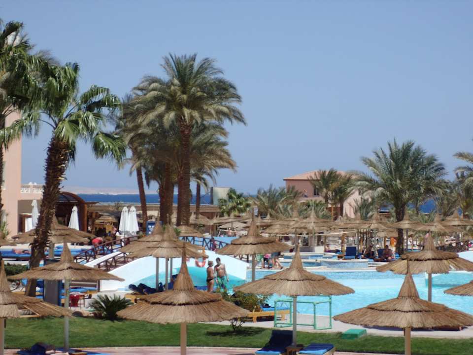 Aussicht von Zimmer 2002 Beach Albatros Resort