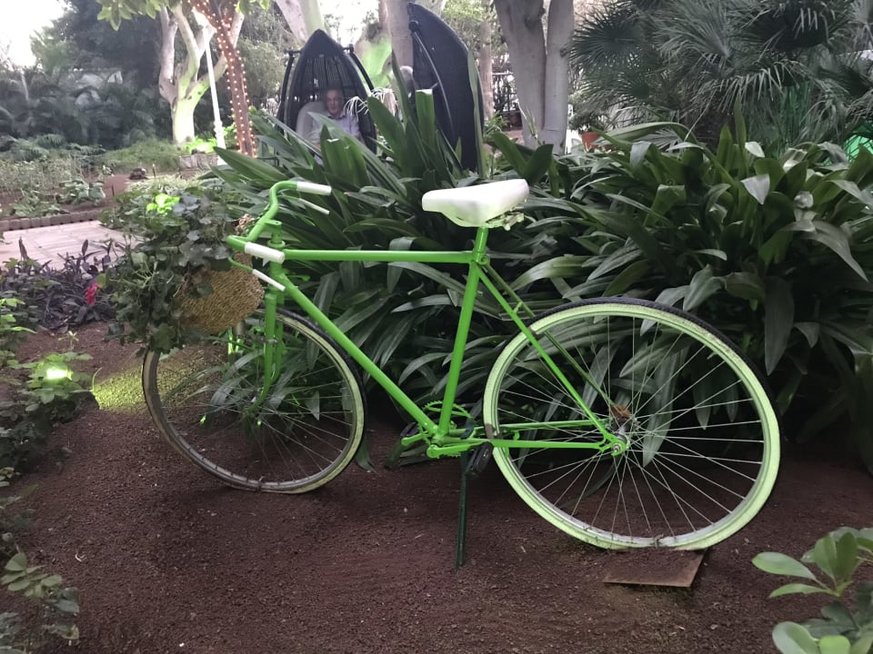 Gartenanlage Hotel Parque Tropical