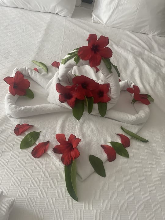 Zimmer Monachus Family Resort Sorgun