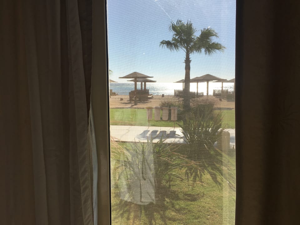 Zimmer Shams Prestige Abu Soma-Adults Only