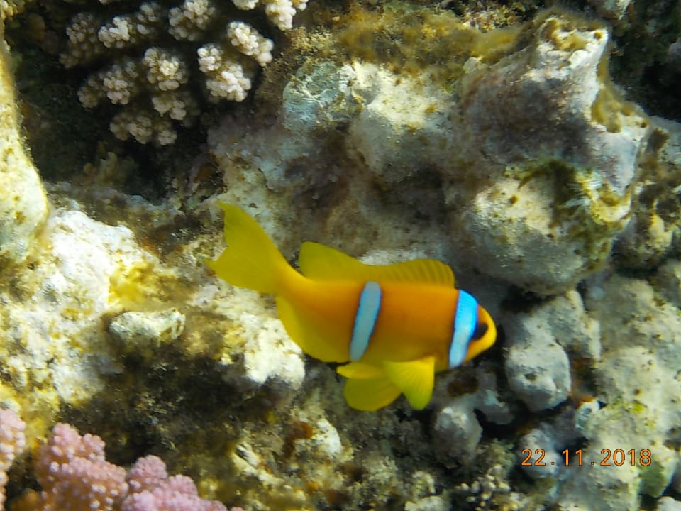 Strand Rohanou Beach Resort