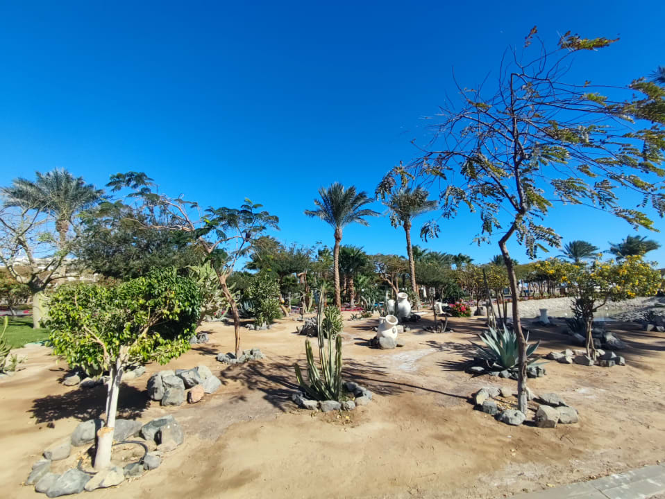 Strand Steigenberger Aqua Magic