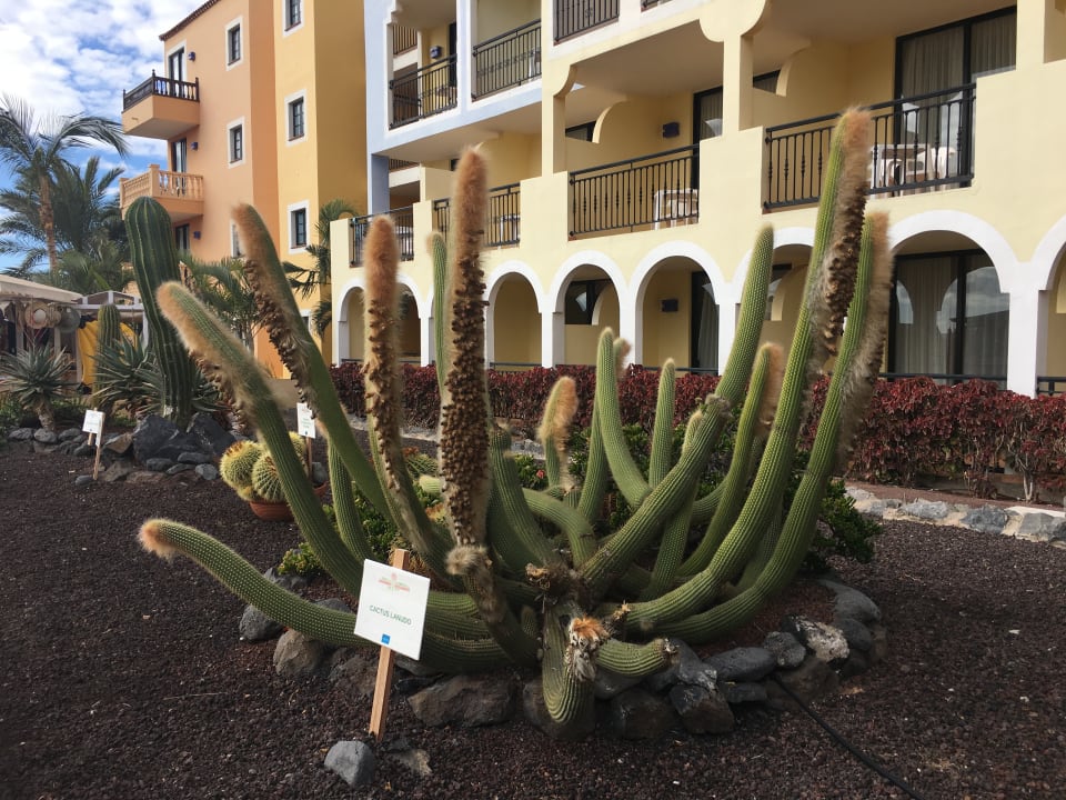 Außenansicht Bahia Principe Sunlight Costa Adeje