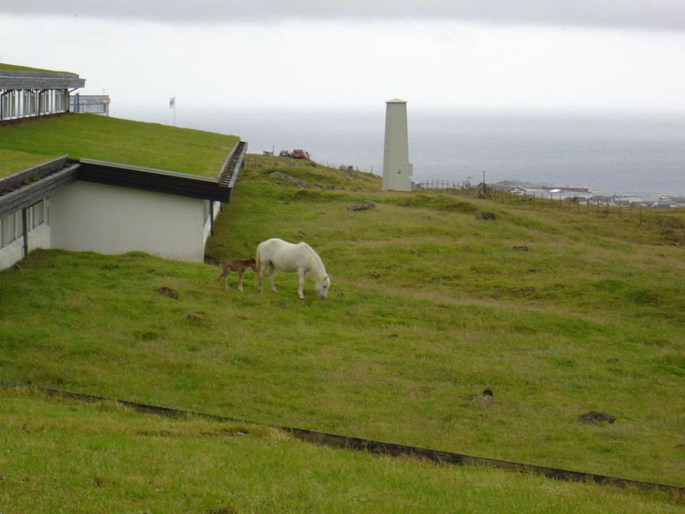 Ausblick auf die Natur Hotel Føroyar