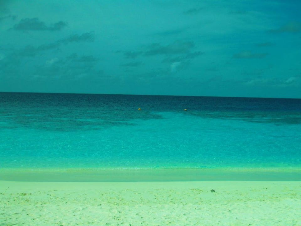 Blick auf das Riff Eri Maldives
