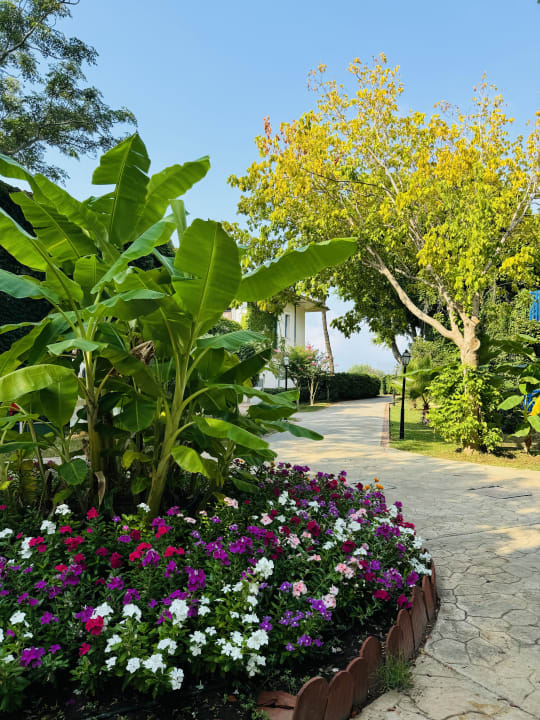 Gartenanlage Belconti Resort Hotel