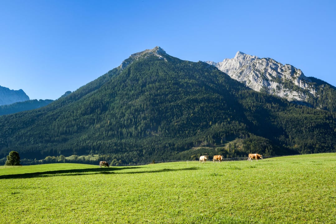 Ausblick Pension Bindenhäusl