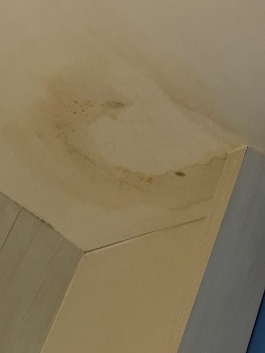 Zimmer Fergus Cactus Garden