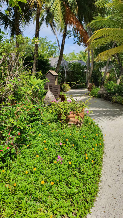 Gartenanlage Veligandu Maldives Resort Island