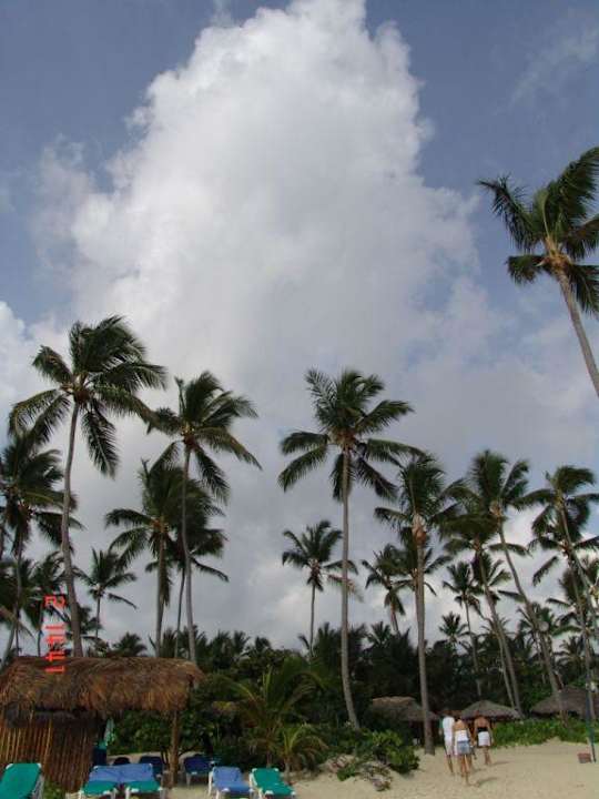 Strand Grand Palladium Select Bávaro Resort & Spa