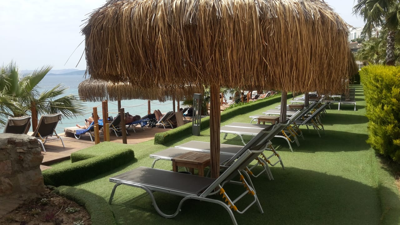Gartenanlage TUI MAGIC LIFE Bodrum - Adult Only (16+)