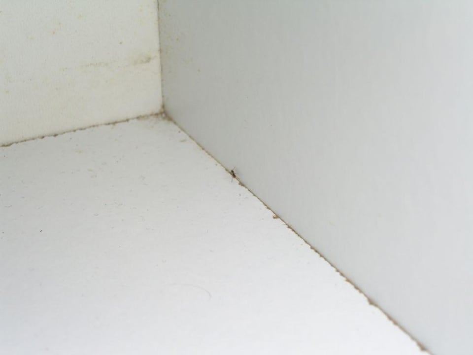 Annex "Sa Mirada" 2 Apartments Isla Paraiso