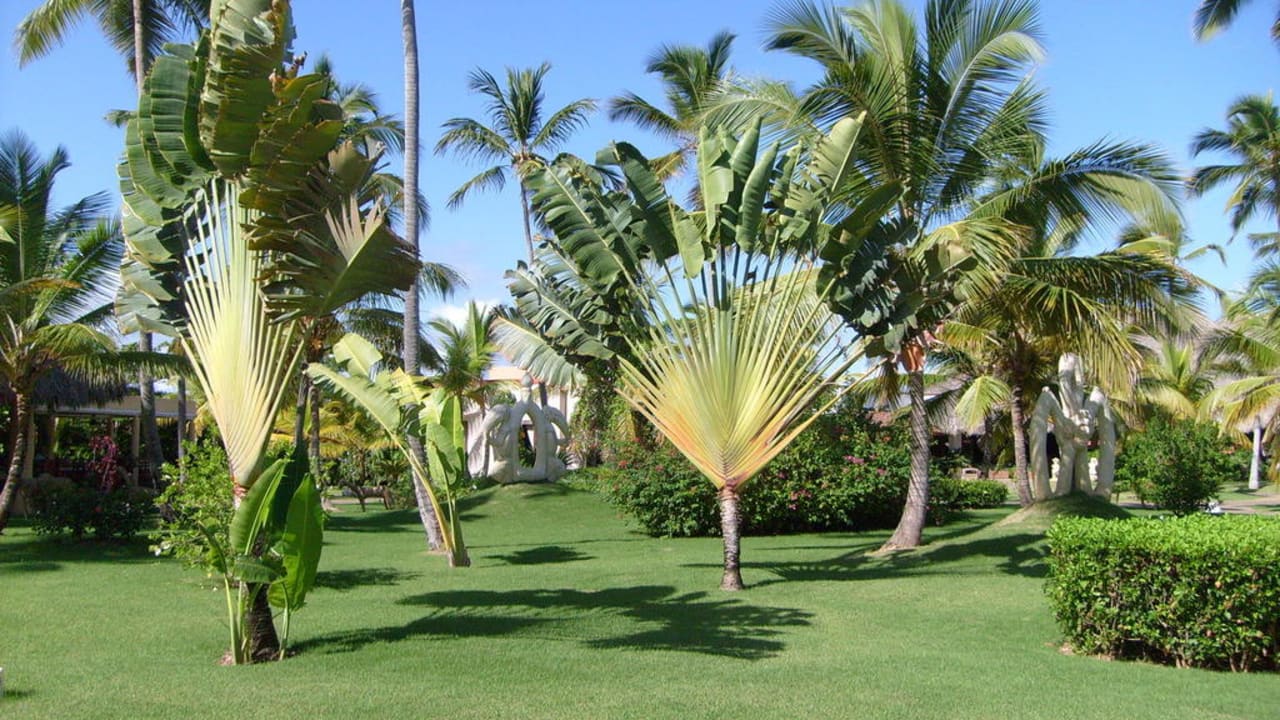Hotelgarten Punta Cana Princess All Suites Resort & Spa