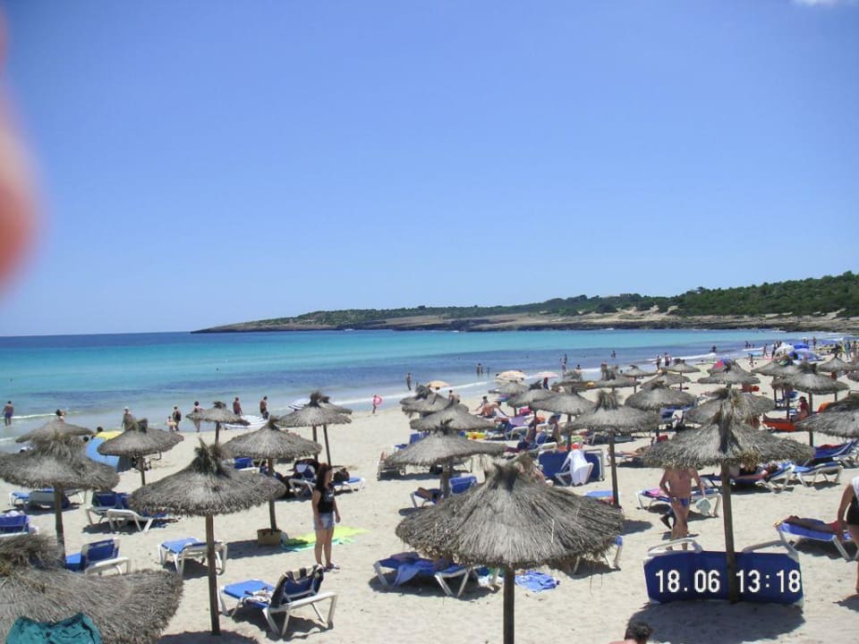 Strand allsun Hotel Borneo - Adults only