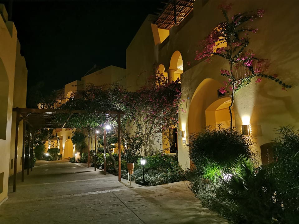 Außenansicht Steigenberger Coraya Beach - Adults only