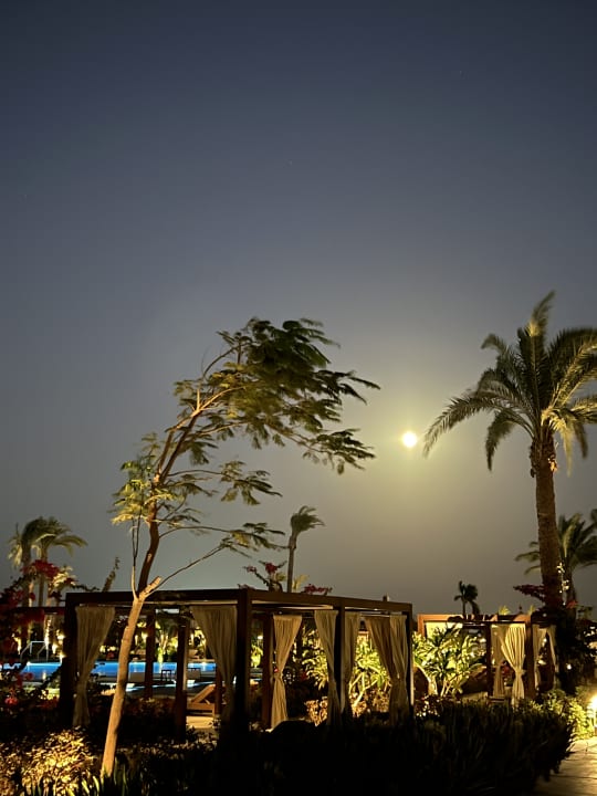 Ausblick Steigenberger Resort Ras Soma