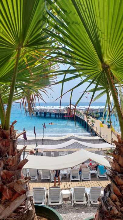 Ausblick Hotel Botanik Platinum