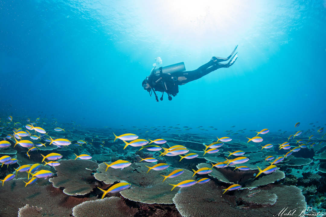 Sport & Freizeit ananea Diamonds Athuruga