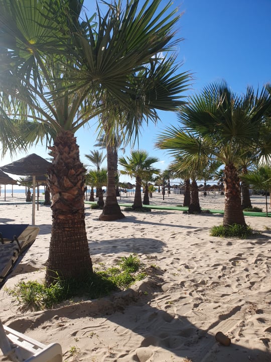 Strand Hotel Paradis Palace