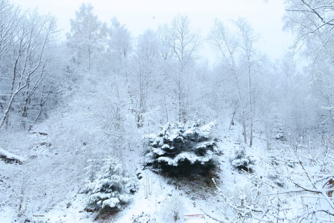 Ausblick Frauenpension Arleta