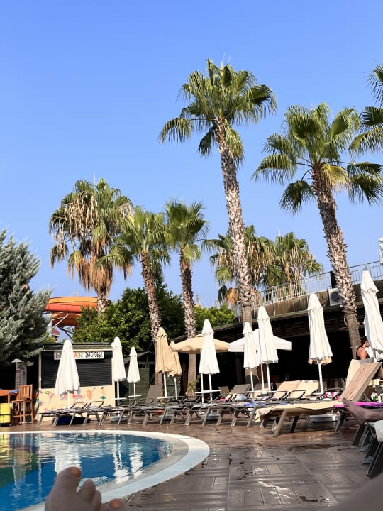 Pool Calimera Hane Garden