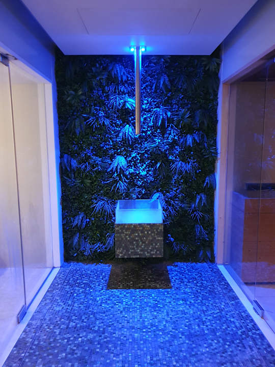 Sonstiges TUI BLUE Madeira Gardens