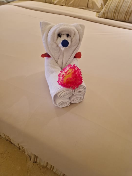 Zimmer Makadi Spa - Adults only