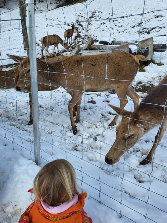 Sonstiges Gut Wenghof - Family Resort