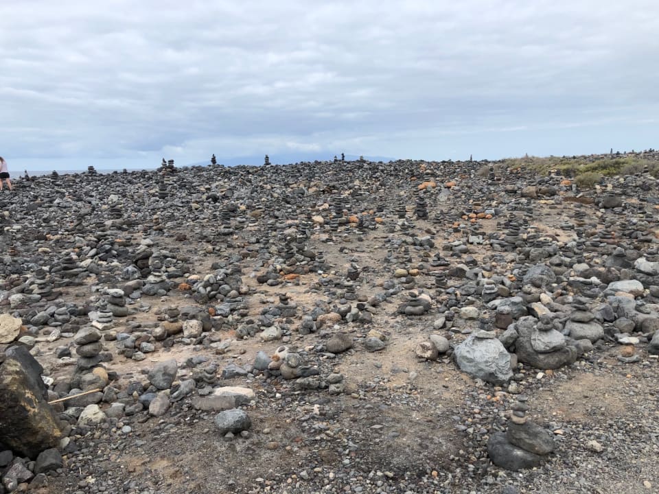 Außenansicht Hotel Riu Arecas - Adults only