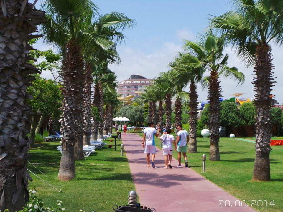 Weg zum Strand Saturn Palace Resort Hotel