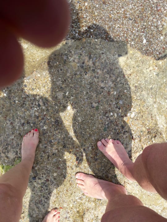 Strand Asteria Collection Side