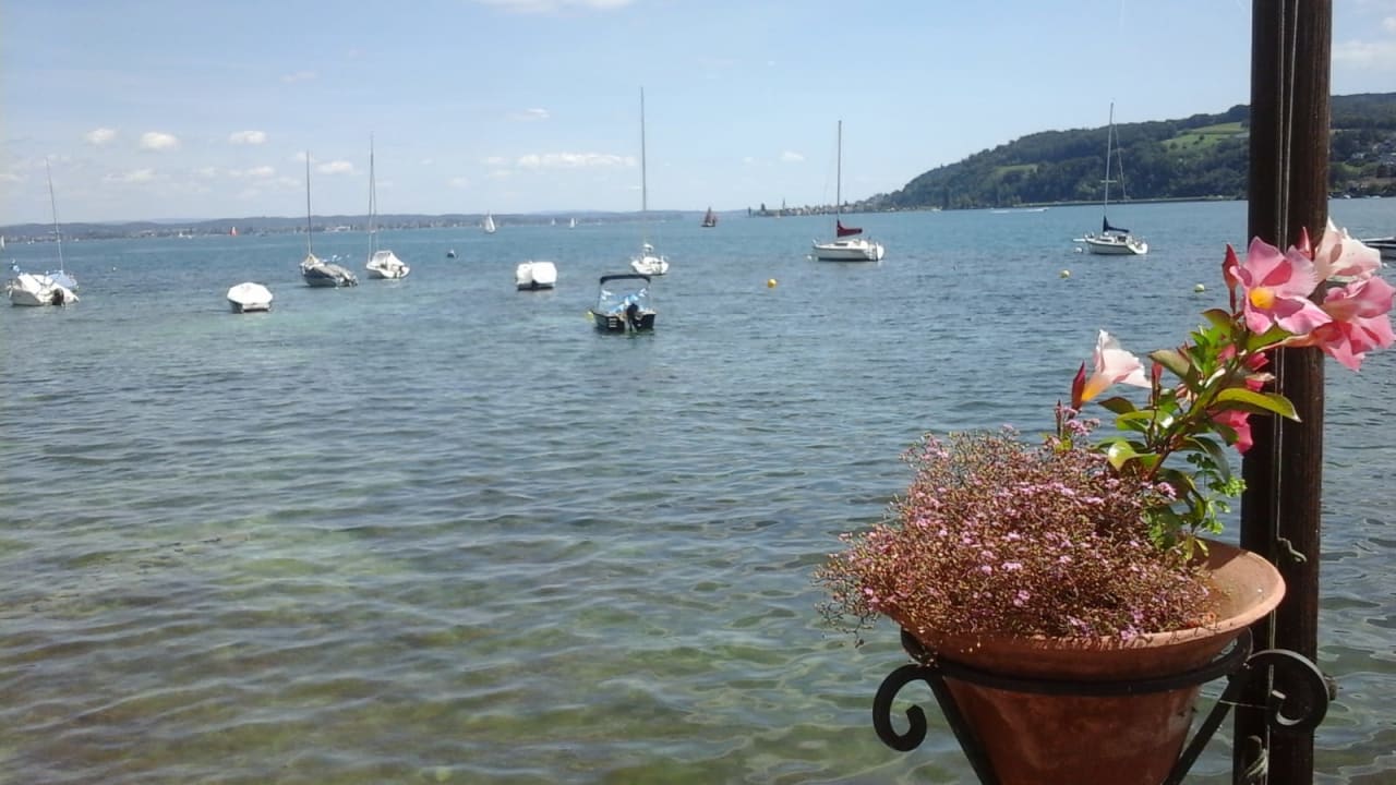 Ausblick Hotel Stern am See