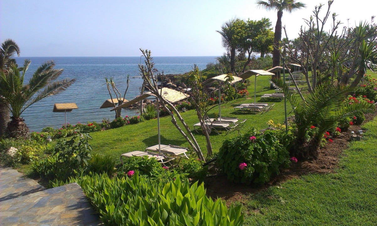 Beach  Crystal Springs Beach Hotel