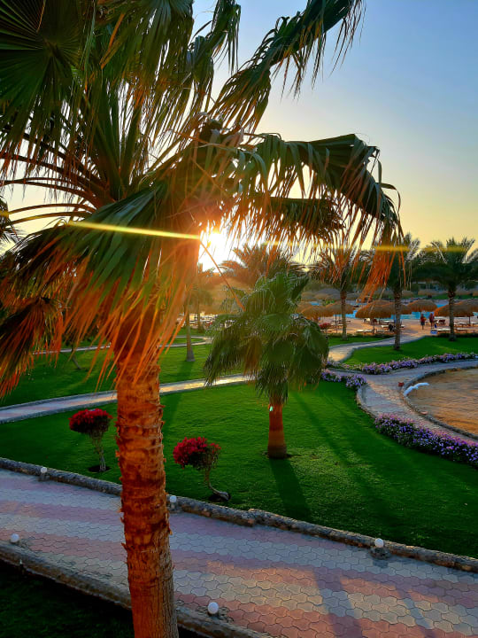 Gartenanlage Three Corners Sea Beach Resort