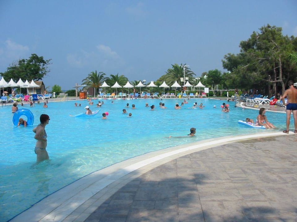 Piscine principale le matin Turquoise Hotel
