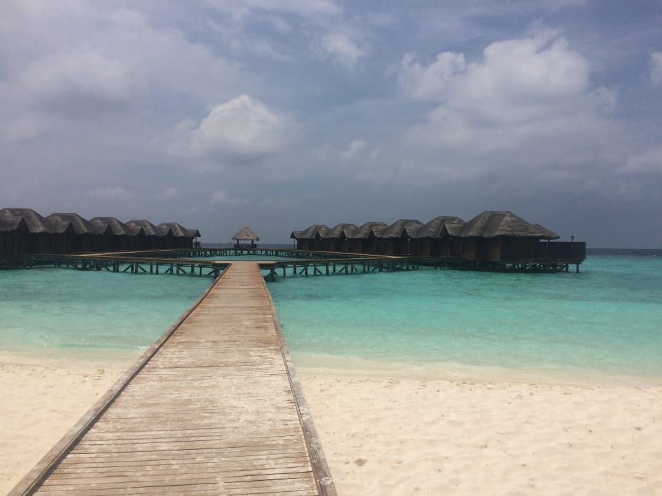Strand Fihalhohi Maldives