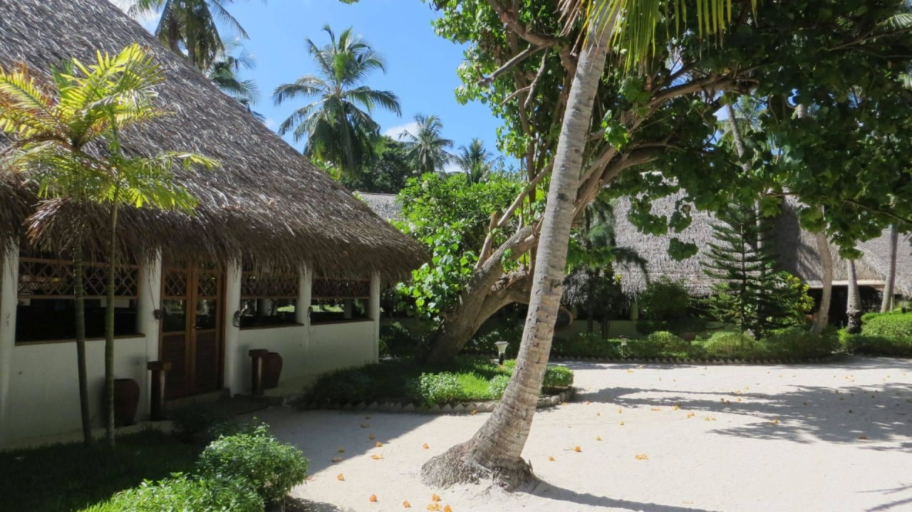 Hotel Fihalhohi Island Resort Fihalhohi Maldives