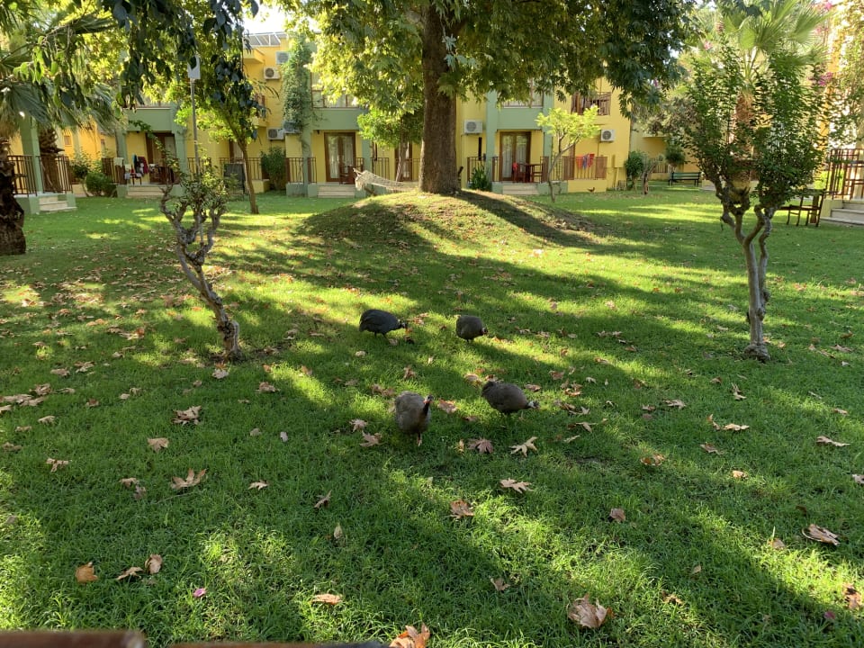 Sonstiges VONRESORT Golden Beach