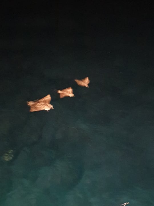 Sonstiges Adaaran Select Meedhupparu Island Resort - Premium All Inclusive