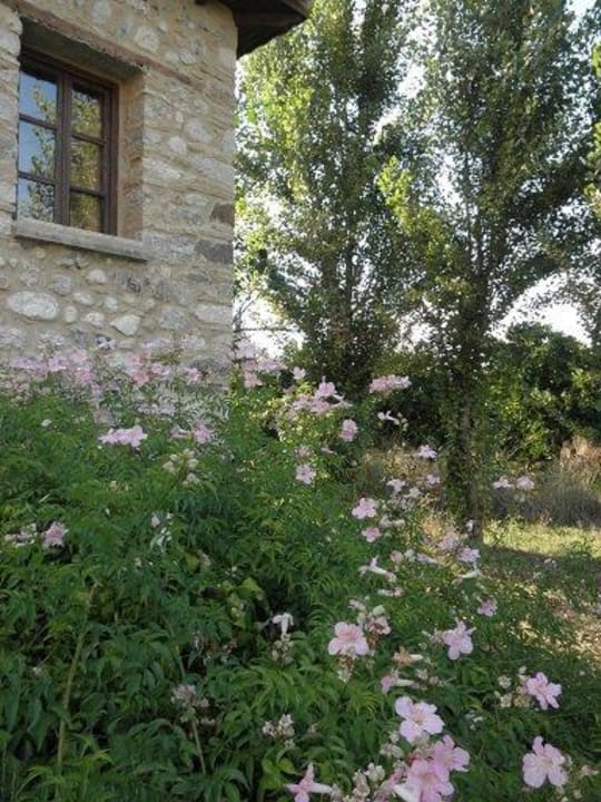 Blumen Semantron Traditional Village