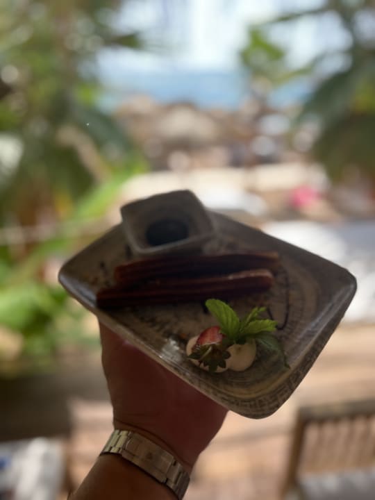 Sonstiges Rubi Platinum Sign