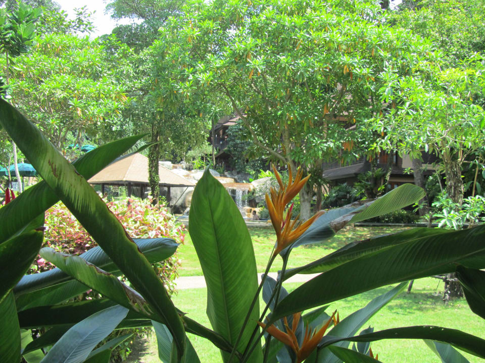  Im Garten  Khao Lak Merlin Resort