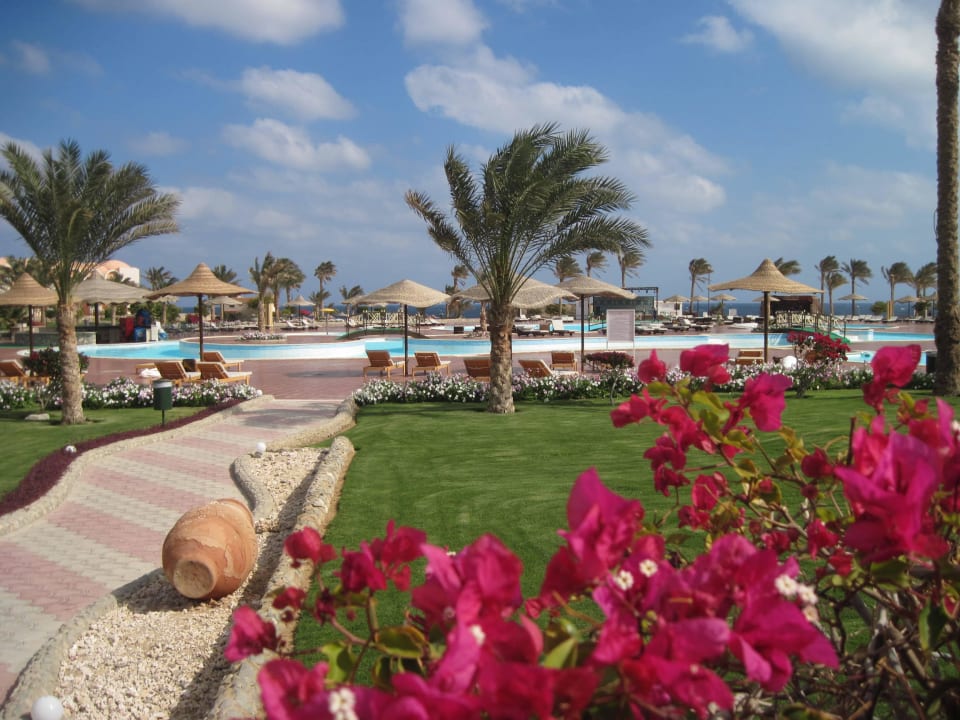 Ogród hotelu Three Corners Sea Beach Resort