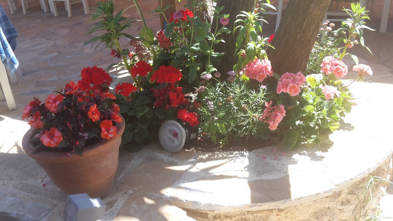 Gartenanlage Porto Koukla Beach