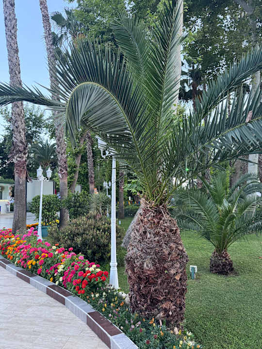 Gartenanlage Hotel Botanik Platinum