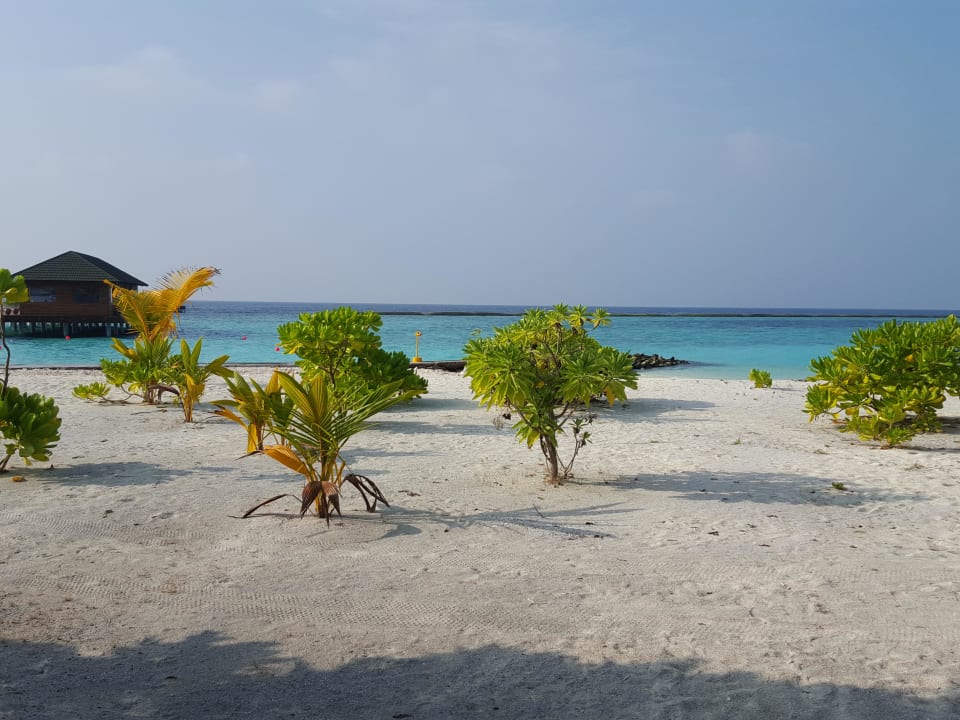 Meedhupparu Strand Adaaran Select Meedhupparu Island Resort - Premium All Inclusive