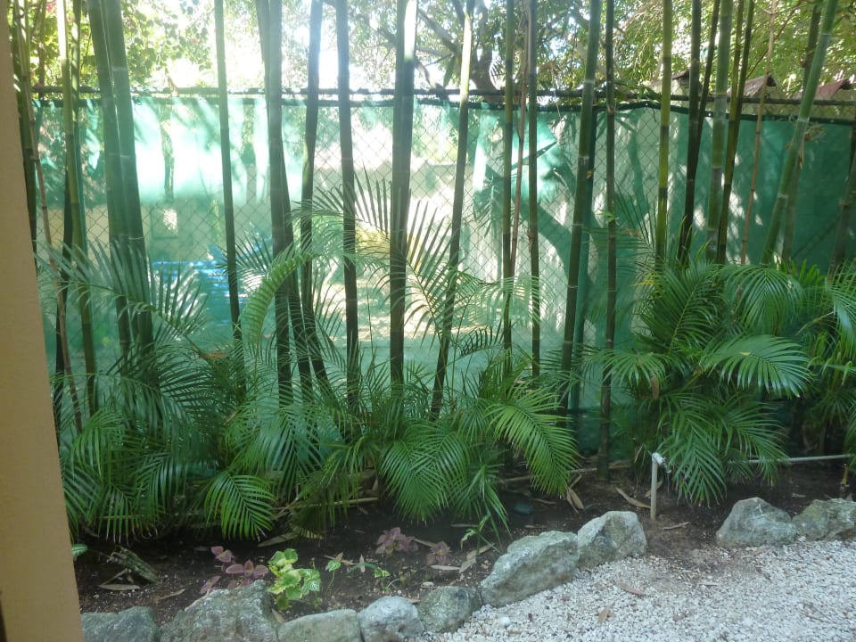 Ausblick vom Zimmer auf die Hausmeisterei des Nach Viva Azteca by Wyndham - All Inclusive Resort